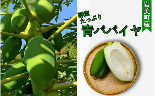 【32003】たなか農園　青パパイヤ