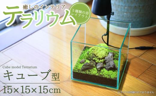 テラリウム 15cm キューブ 苔リウム 苔テラリウム インテリアグリーン 観葉植物 雑貨 新潟県加茂市 テラリウム専門ショップ -Terraria-