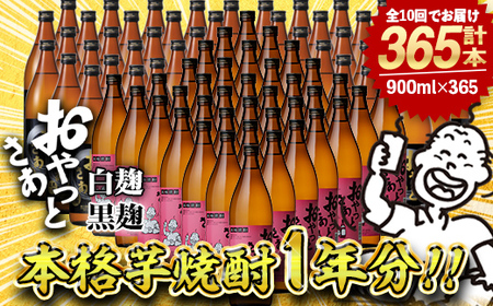 ≪ 本格芋焼酎 1年分！≫ 芋焼酎 365本 セット (全10回 / おやっとさあ 900ml×120本・おやっとさあ黒 900ml×245本) 定期便 【岩川醸造】T45