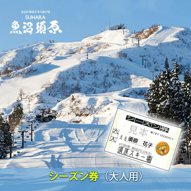 【ふるさと納税】須原スキー場 シーズン券（大人用） チケット 入場券 優待券 体験 　お届け：2025年12月上旬～2026年2月15日まで