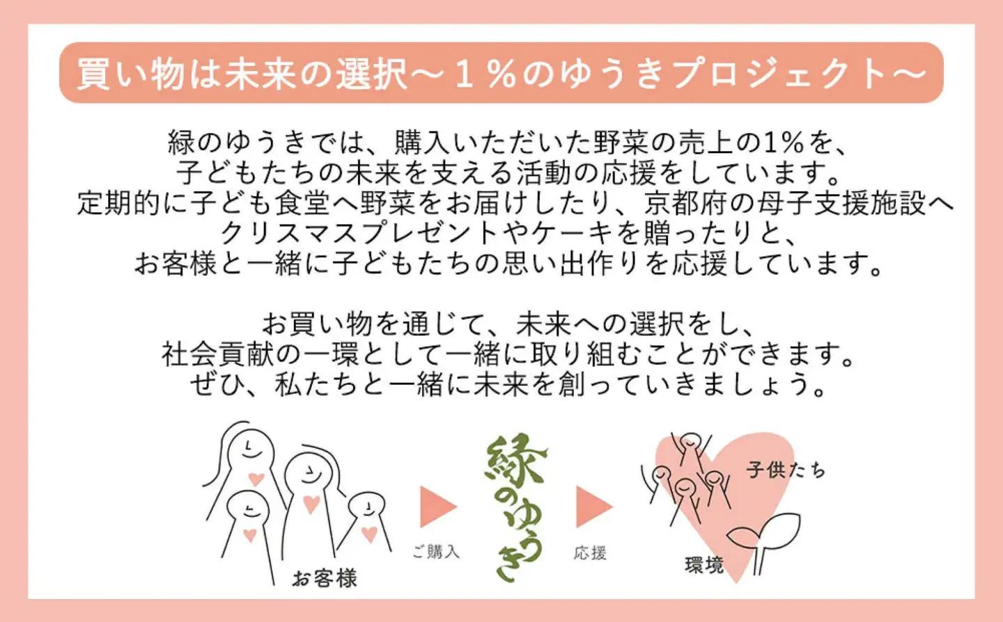 ＜5か月定期便＞2027年発送【緑のゆうき】購入された野菜の売上の1％が、社会貢献に 京都産のこだわり野菜（有機野菜、栽培期間中農薬・化学肥料不使用など）を 美味しいタイミングで収穫したセット	