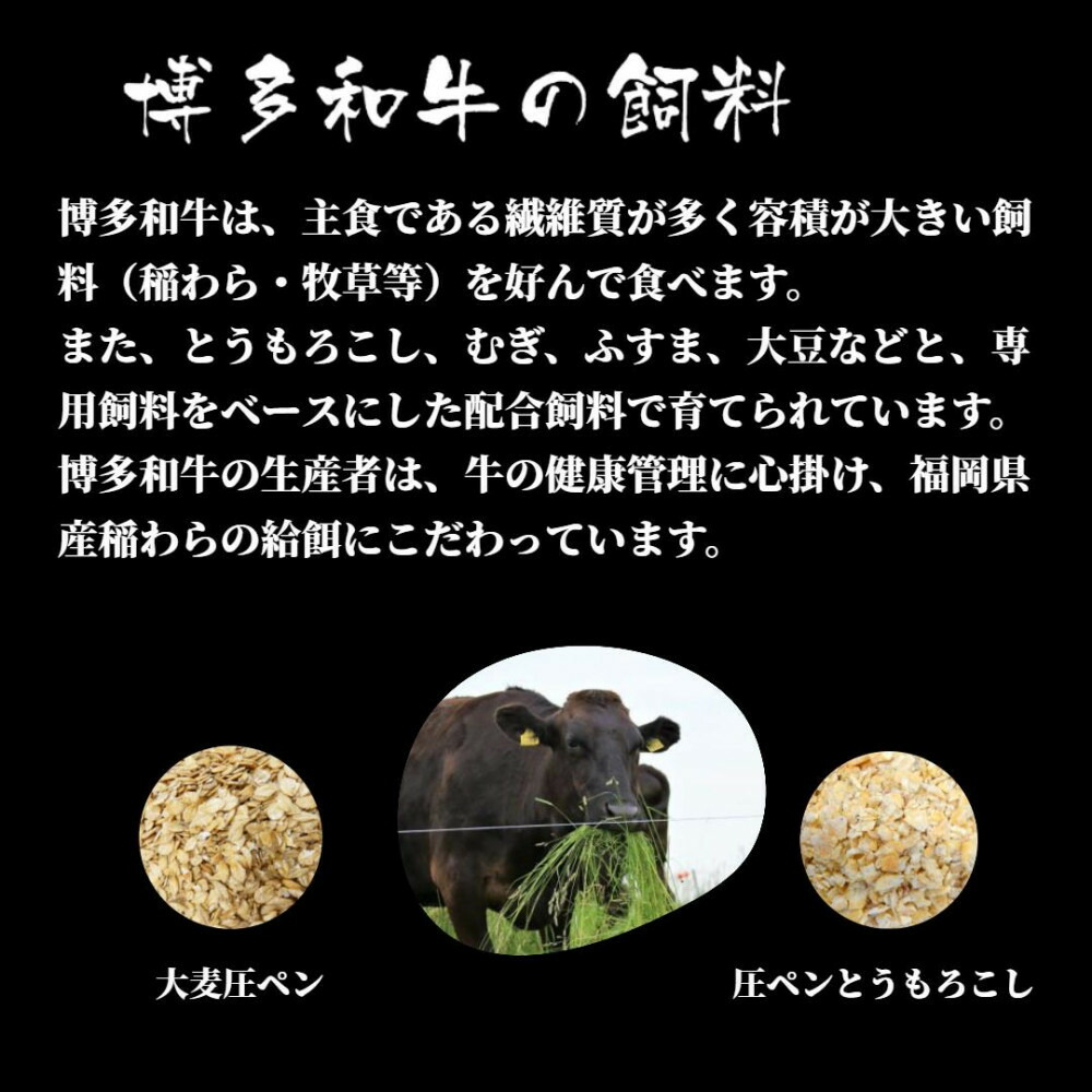 博多和牛 シャトーブリアン 480g