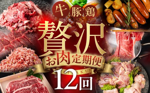 特選！贅沢お肉定期便 12回 肉 牛肉 豚肉 鶏肉 ブランド牛 サーロイン ロース バラ 焼肉 すき焼き ステーキ しゃぶしゃぶ 名古屋コーチン ミンチ 切り落とし 黒毛和牛 和牛 定期便 12ヶ月 毎月お届け どうまい 愛知県 豊橋市 送料無料