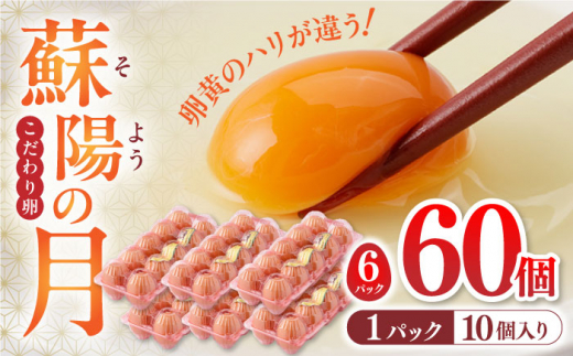 
蘇陽の月 60個入り ( 10個入り × 6パック ) 熊本県産 山都町 たまご 卵 玉子 タマゴ 鶏卵 オムレツ 卵かけご飯 朝食 料理 人気 卵焼き【蘇陽農場】[YBE021]
