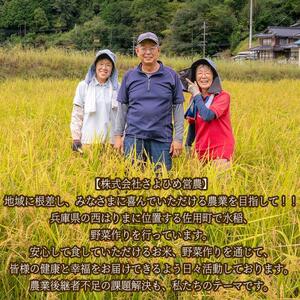 【12ヵ月定期便】兵庫県佐用町産 お米 5kg×12ヵ月 (計60kg)  精米 てんこもり
