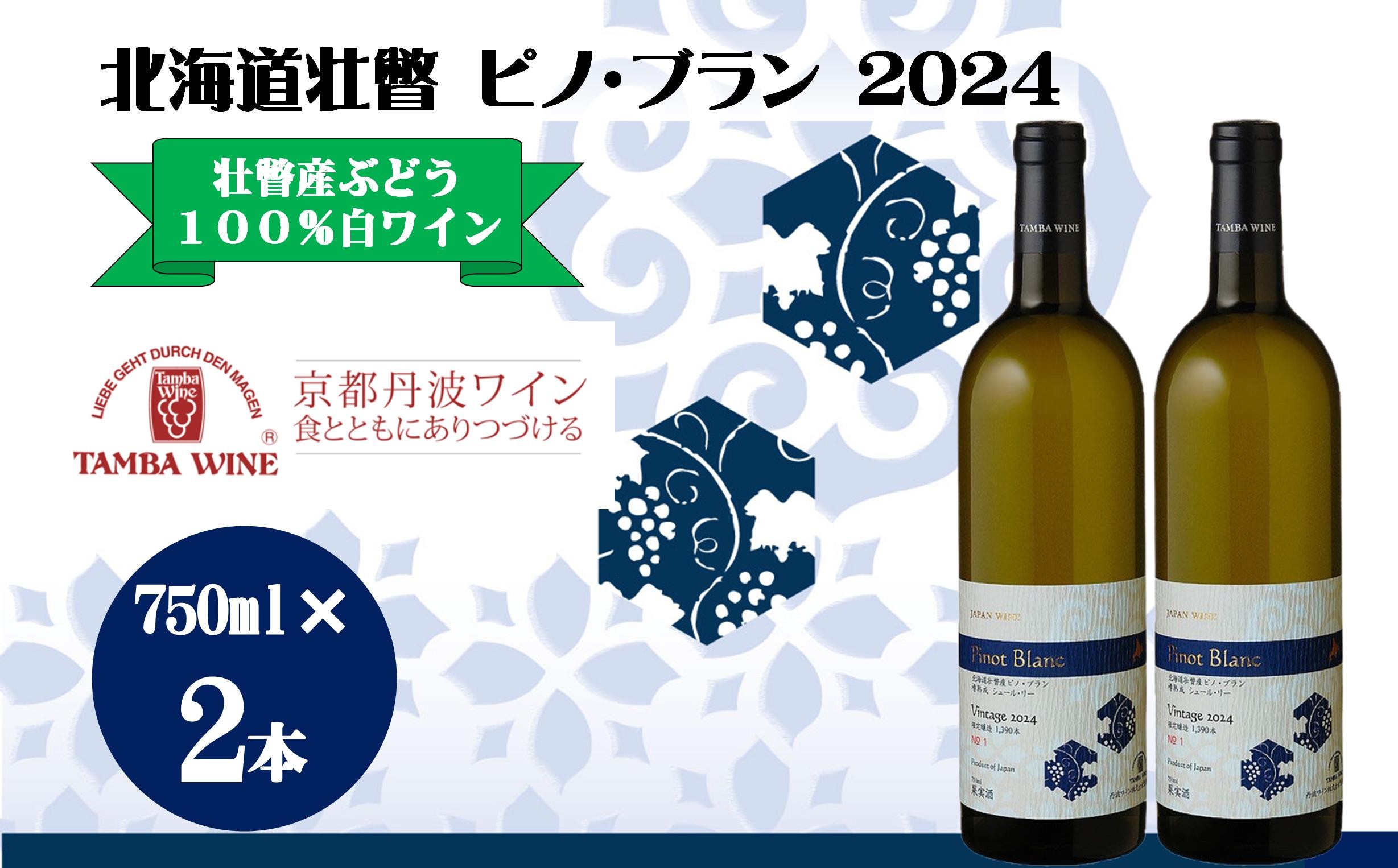 
                  北海道壮瞥産 ピノ・ブラン2024(辛口白ワイン) 750ml×2本 【 ふるさと納税 人気 おすすめ ランキング 北海道 壮瞥 ワイン  ピノ・ブラン ぶどう 葡萄 酒 白 辛口 贈り物 贈物 贈答 ギフト 大容量 詰合せ セット 北海道 壮瞥町 送料無料 】 SBTA085
                
