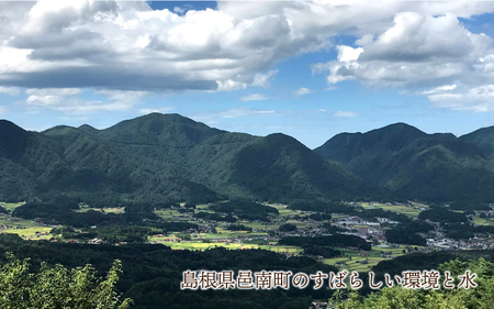 有機JAS認証米 有機於保地米 つや姫10kg（5kg×2袋）