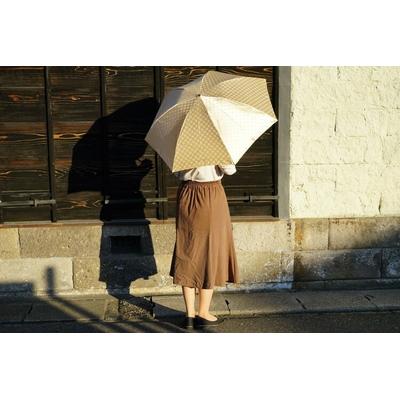 ふるさと納税 古河市 雪華模様の折り畳み傘(サイズ55cm)カラー:ベージュ | 傘 かさ 折りたたみ傘 _BL03 |  | 01