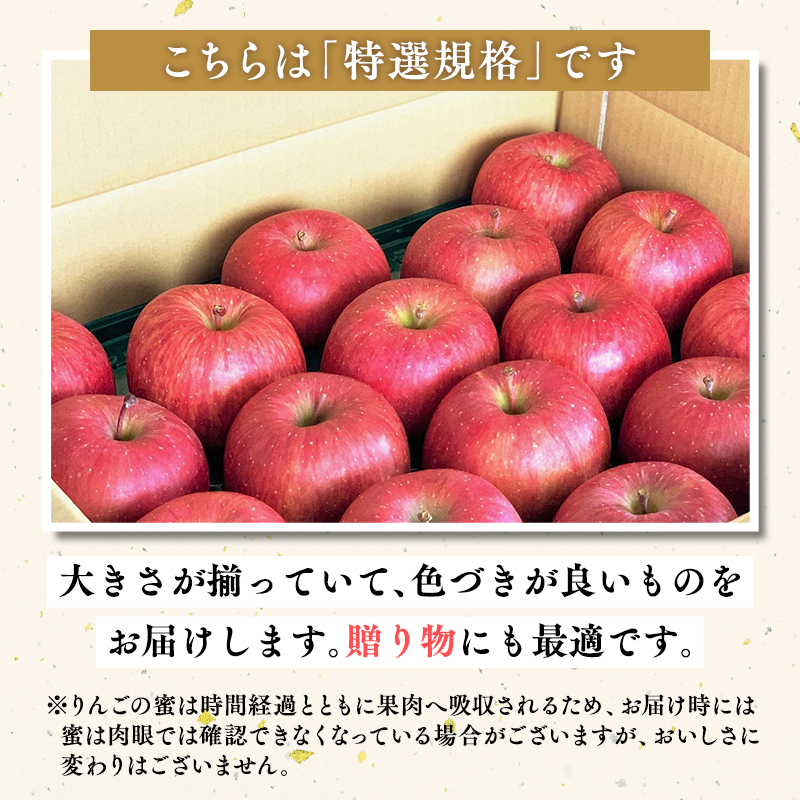 11月発送 【特選】サンふじ10㎏【りんご・青森・平川・特選・宮川商店・11月・12月・1月・2月・3月・4月】