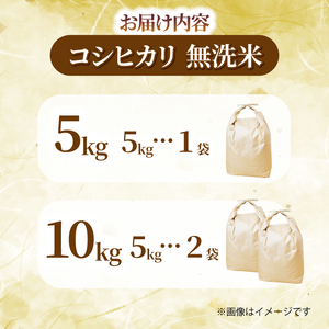 コシヒカリ 5kg 令和7年産 新米 白米 コシヒカリ 千葉県