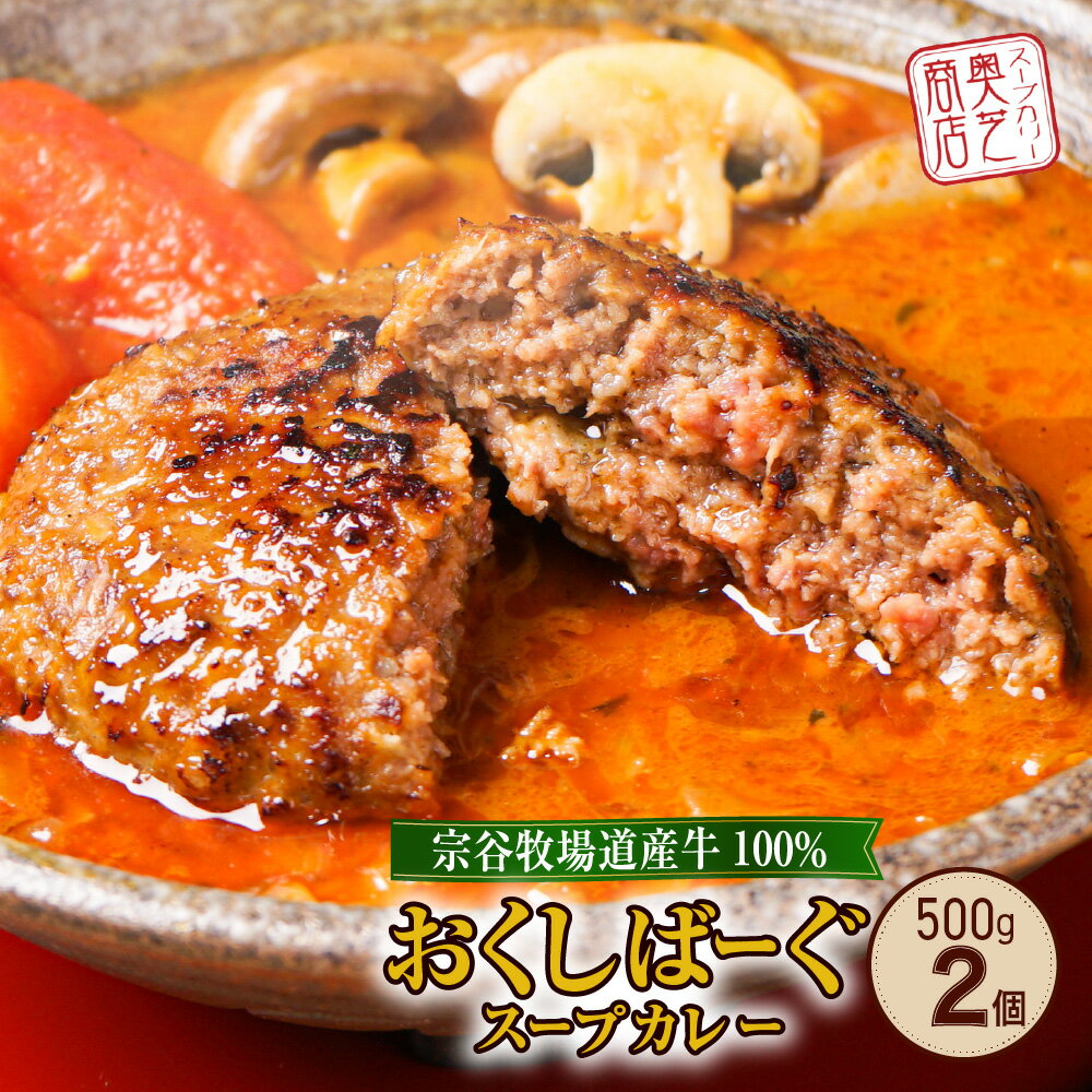 【ふるさと納税】 札幌 奥芝商店 スープカレー 500g 2個 チーズ ハンバーグ ビーフ100% 牛肉 スパイス おくしばーぐ カレー ご当地 グルメ 惣菜 お取り寄せ 冷凍 ギフト プレゼント 贈答 贈り物 北海道 札幌市