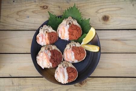 セイコガニ甲羅盛Sサイズ　5個セット