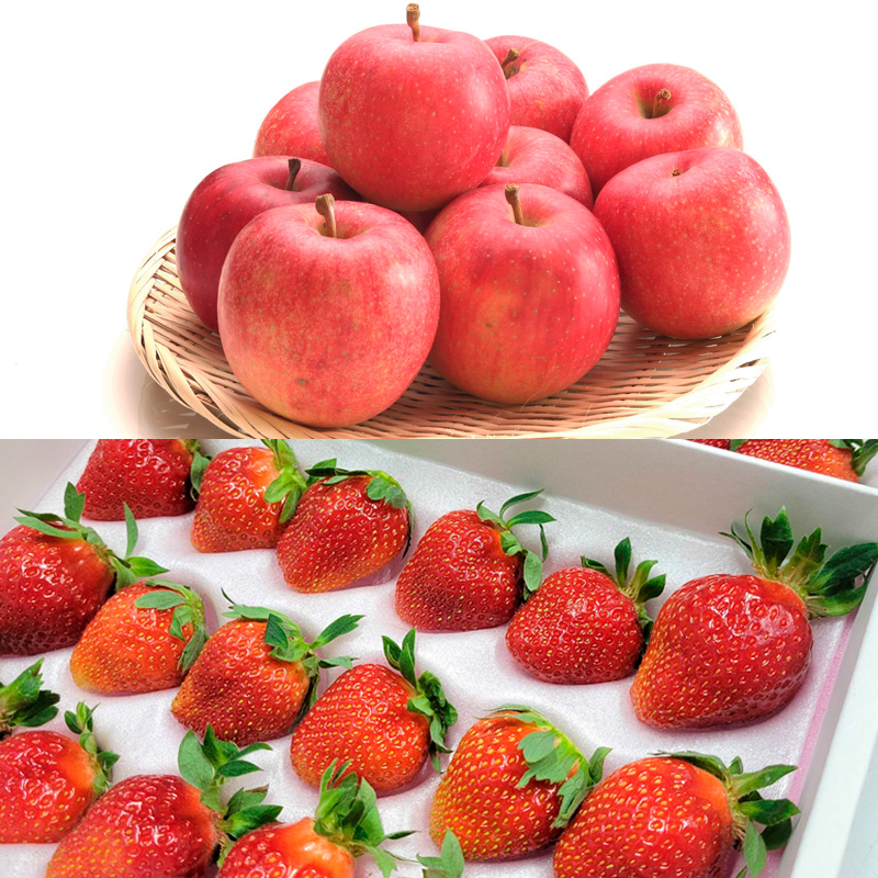 【定期便6回】山形フルーツ デラックス定期便 FY25-825