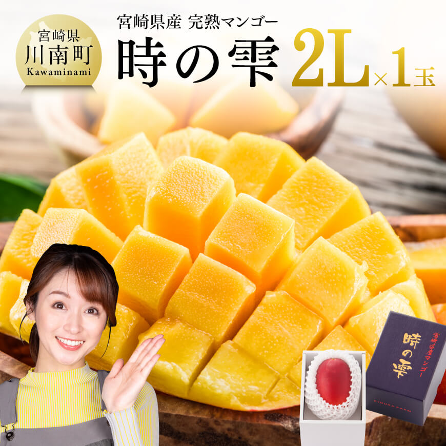 【令和8年発送】宮崎県産 完熟マンゴー「時の雫」 2L×1玉 果物 フルーツ マンゴー 宮崎県産 九州産 完熟マンゴー みやざきマンゴー