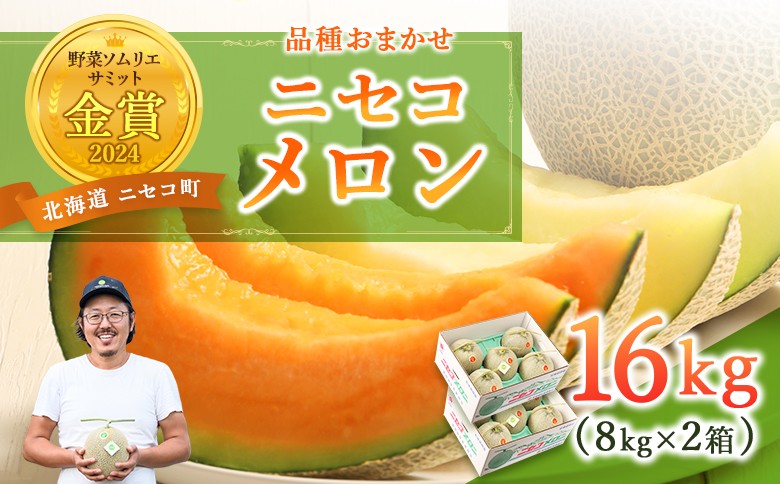 
                  《2027年分受付中》市場には出回らない 北海道ニセコメロン 8～12玉 (1箱8kg×2箱) 糖度13度以上 | メロン ニセコメロン 北海道メロン 北海道産メロン 国産メロン 赤肉メロン 赤肉 青肉メロン 青肉 果物 フルーツ デザート 青果 甘い 上品 高級フルーツ 季節限定 夏 夏の味覚 計16kg 新鮮 フレッシュ お取り寄せ 北海道 ニセコ町 ニセコ【37001DA0101】
                