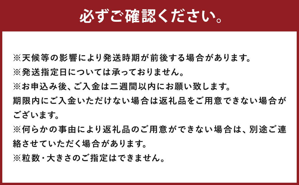フローズンフルーツ8袋セット
