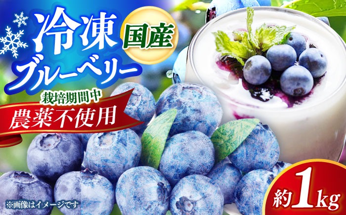 築上町産 冷凍 ブルーベリー 1kg 《築上町》【(有)工房よしかわ】国産 ブルーベリー [ABAK001]