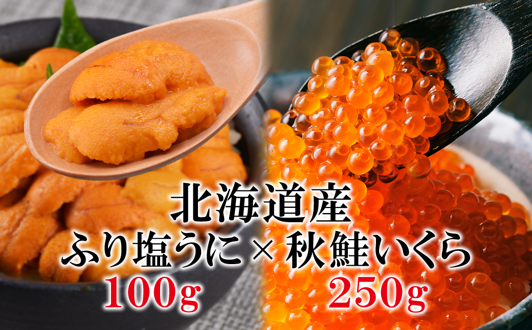 北海道産 ふり塩うに（エゾバフンウニ）100g いくら醤油漬け 250g うにいくら丼 冷凍保存 事業者支援
