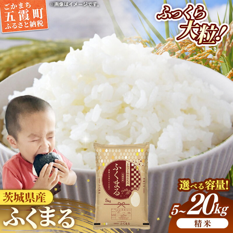 【ふるさと納税】令和7年産 茨城県産 ふくまる ／ 選べる容量 5kg 10kg 15kg 20kg ／ 5kgずつ お米 精米 新米 単一米 銘柄米 旨味 安心 美味しい 茨城県 五霞町