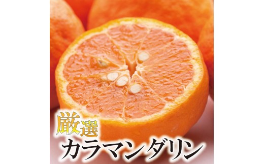 
            ［先行予約］厳選 カラマンダリン2.5kg+250g（傷み補償分）［南津海・なつみ］［希少な春柑橘］［みかんと同じように食べられます］［IKE66］
          
