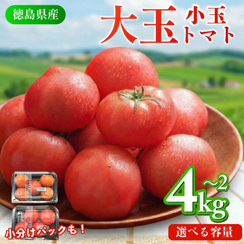 【ふるさと納税】 トマト 2kg ～ 4kg 選べる 容量 小玉 大玉 とまと 4月～6月発送 野菜 やさい 国産 産地直送 数量限定 旬 徳島県産 tomato サラダ おすすめ 徳島県
