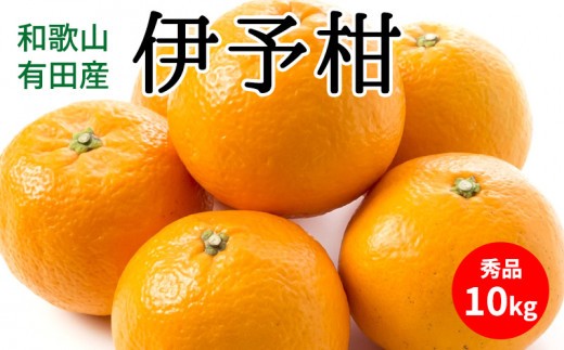 
                  【2027年先行予約】伊予柑 秀品 約10kg 和歌山県有田産【いよかん 柑橘 和歌山産】_U6307
                