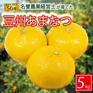 豆州 あまなつ 約 5 kg はらみかん農園  あまなつ