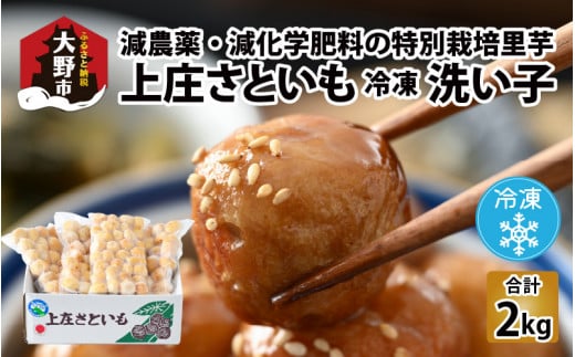 【先行予約】【冷凍里芋】上庄さといも 冷凍 洗い子 2kg（500g × 4袋）【冷凍】減農薬・減化学肥料の特別栽培里芋【2025年10月中旬より順次発送】
