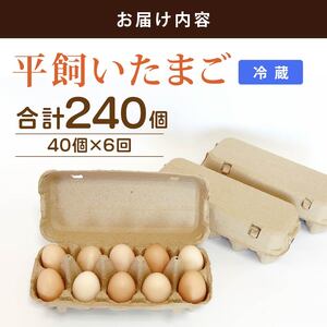 【たまご 定期便6回】平飼い卵 40個入【たまご 高知県 南国市】