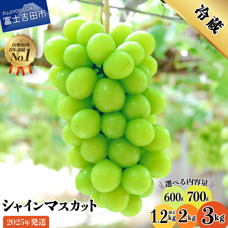 山梨県 シャインマスカット お楽しみセット 2房1kg