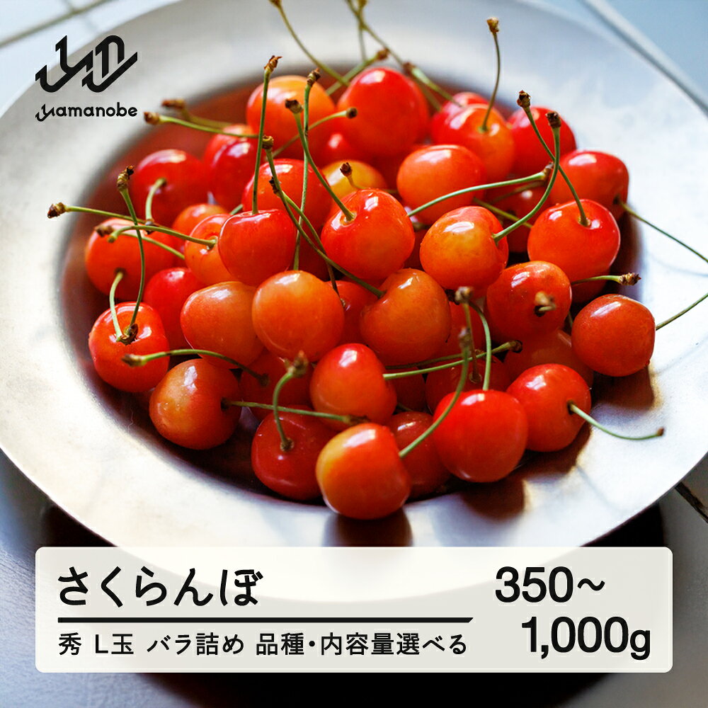 【ふるさと納税】【先行予約】さくらんぼ 秀品 L玉 品種・内容量選べる 佐藤錦 紅秀峰 紅王 令和9年産 2027年産 mm-sasyx
