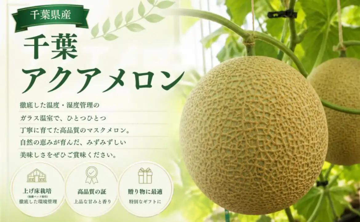 高級マスクメロン　【千葉アクアメロン】　１玉　3L～4Lサイズ　千葉県産　化粧箱入り　生産者直送