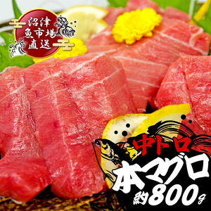 ﾏｸﾞﾛ 中ﾄﾛ 400g 刺身 ( ﾏｸﾞﾛ ﾏｸﾞﾛ ﾏｸﾞﾛ ﾏｸﾞﾛ ﾏｸﾞﾛ ﾏｸﾞﾛ ﾏｸﾞﾛ ﾏｸﾞﾛ ﾏｸﾞﾛ ﾏｸﾞﾛ ﾏｸﾞﾛ ﾏｸﾞﾛ ﾏｸﾞﾛ ﾏｸﾞﾛ ﾏｸﾞﾛ ﾏｸﾞﾛ ﾏｸﾞﾛ ﾏｸﾞﾛ ﾏｸﾞﾛ ﾏｸﾞﾛ ﾏｸﾞﾛ ﾏｸﾞﾛ ﾏｸﾞﾛ ﾏｸﾞﾛ ﾏｸﾞﾛ ﾏｸﾞﾛ ﾏｸﾞﾛ ﾏｸﾞﾛ ﾏｸﾞﾛ ﾏｸﾞﾛ ﾏｸﾞﾛ ﾏｸﾞﾛ ﾏｸﾞﾛ ﾏｸﾞﾛ ﾏｸﾞﾛ ﾏｸﾞﾛ ﾏｸﾞﾛ ﾏｸﾞﾛ ﾏｸﾞﾛ ﾏｸﾞﾛ ﾏｸﾞﾛ ﾏｸﾞﾛ ﾏｸﾞﾛ ﾏｸﾞﾛ ﾏｸﾞﾛ ﾏｸﾞﾛ ﾏｸﾞﾛ ﾏｸ