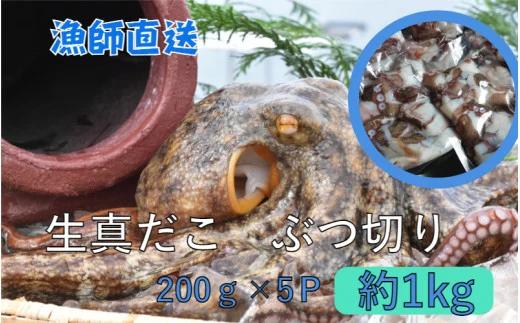 船上活き締め！生真だこぶつ切1kg（200g×5P）（1811R）