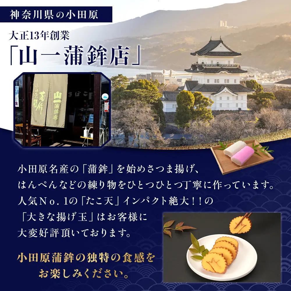 《小田原市 山一蒲鉾店》小田原名産 蒲鉾(白)1本 焼き蒲鉾1本 贈答品 自宅用 【 神奈川県 小田原市 かまぼこ かまぼこ】