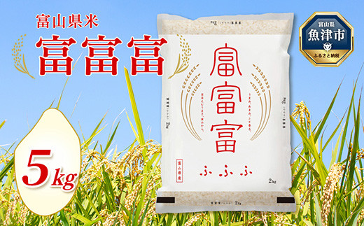 
                  【令和7年度米】富山県産米「富富富」5kg（精米）｜米 富富富 ふふふ こめ コメ お米 おこめ 白米 精米 5kg 5キロ ブランド米 お中元 ギフト ご飯 ごはん 人気 ランキング 北陸 銘柄米 富山米 北陸米 米5kg 人気米 富山富富富 北陸富富富 富富富5kg 精米富富富 白米富富富 人気富富富 ※2025年10月上旬～2026年8月下旬頃に順次発送予定 ※北海道・沖縄・離島への配送不可
                