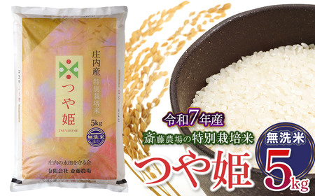 【令和7年産先行予約】 斎藤農場の特別栽培米 つや姫 無洗米 5kg 山形県鶴岡市 K-737