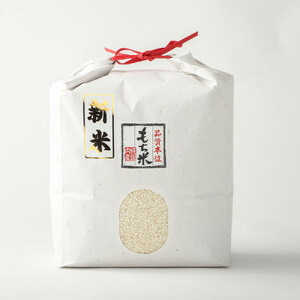 令和5年産 もち米９kg（精米3kg×3袋）ヒメノモチ おもち 餅 おはぎ 赤飯 ご飯 おこわ【R00562】