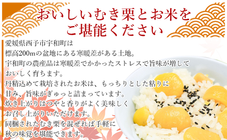 【先行予約】＜愛媛県西予市産 栗ご飯セット（むき栗 150g×3袋・コシヒカリ 2kg）＞ 国産 くり 和栗 米 栗ごはん 混ぜご飯 秋の味覚 愛媛県 西予市 【冷蔵】『2026年10月上旬～10月下