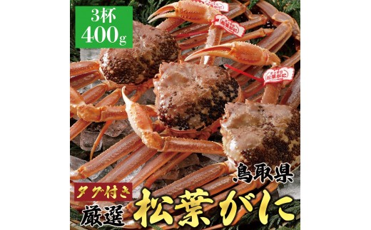772.【活】【2027年1月～2027年3月発送】 特撰 松葉がに【ブランドタグ付き】400g超×3杯【ブランド 蟹 タグ付き 生 ナマ かに 松葉ガニ 松葉蟹 訳あり カニ味噌 みそ 家庭用 鳥取県産 北栄町 おすすめ 人気】