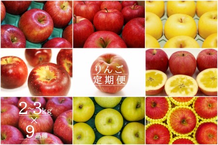 【2025年9月～12月発送】【定期便9回】「秀品」りんご2～3kg×9種_H151(R7)
