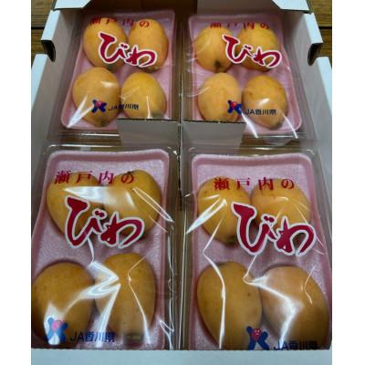 ふるさと納税 小豆島町 【発送月固定定期便】【奇数月定期便】フルーツ定期便 全6回 |  | 02