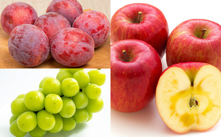 【定期便5回】やまがた旬果実の定期便【令和8年産先行予約】FS25-091