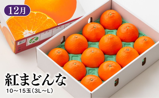 【定期便】【愛媛県共通返礼品】愛媛のかんきつ定期便（全6回）（日の丸みかん・紅まどんな・伊予柑・不知火・せとか・河内晩柑) ｜みかん 蜜柑 日の丸みかん 紅まどんな 伊予柑 不知火（デコポン） せとか