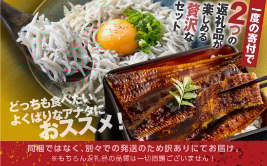 青うなぎ＆しらす干し  渥美半島よくばりセット 年内 蒲焼き 鰻 ウナギ うなぎ蒲焼 惣菜 幻 簡単調理 おいしい 高評価 ふるさと納税 魚 さかな 魚介 ランキング しらす シラス ふるさとチョイス キャンペーン おすすめ