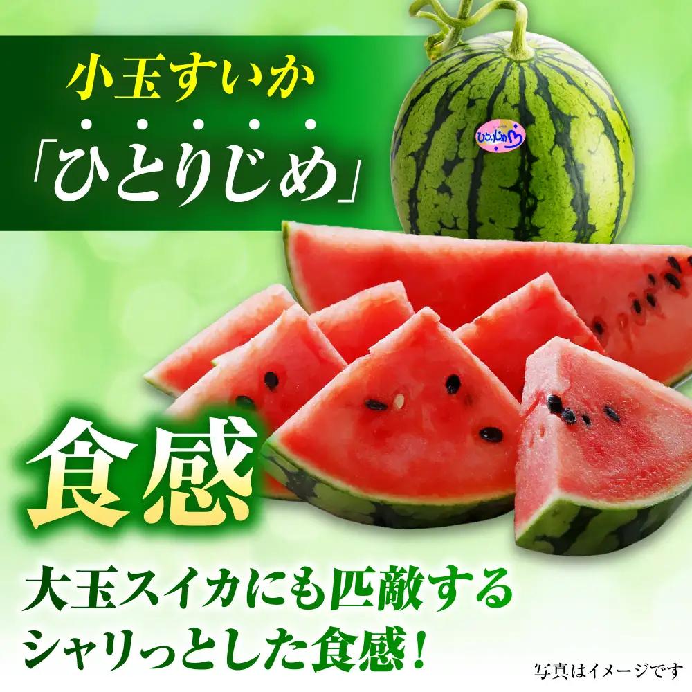 【先行予約】【2027年4月中旬より順次発送】小玉すいか 2玉入（1玉 約2.5kgから3kg） スイカ[AYAB056]