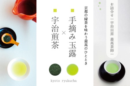 【宇治田原最高茶師】手摘み玉露と宇治煎茶のお詰合せ〈お茶 煎茶 緑茶 玉露 大臣賞