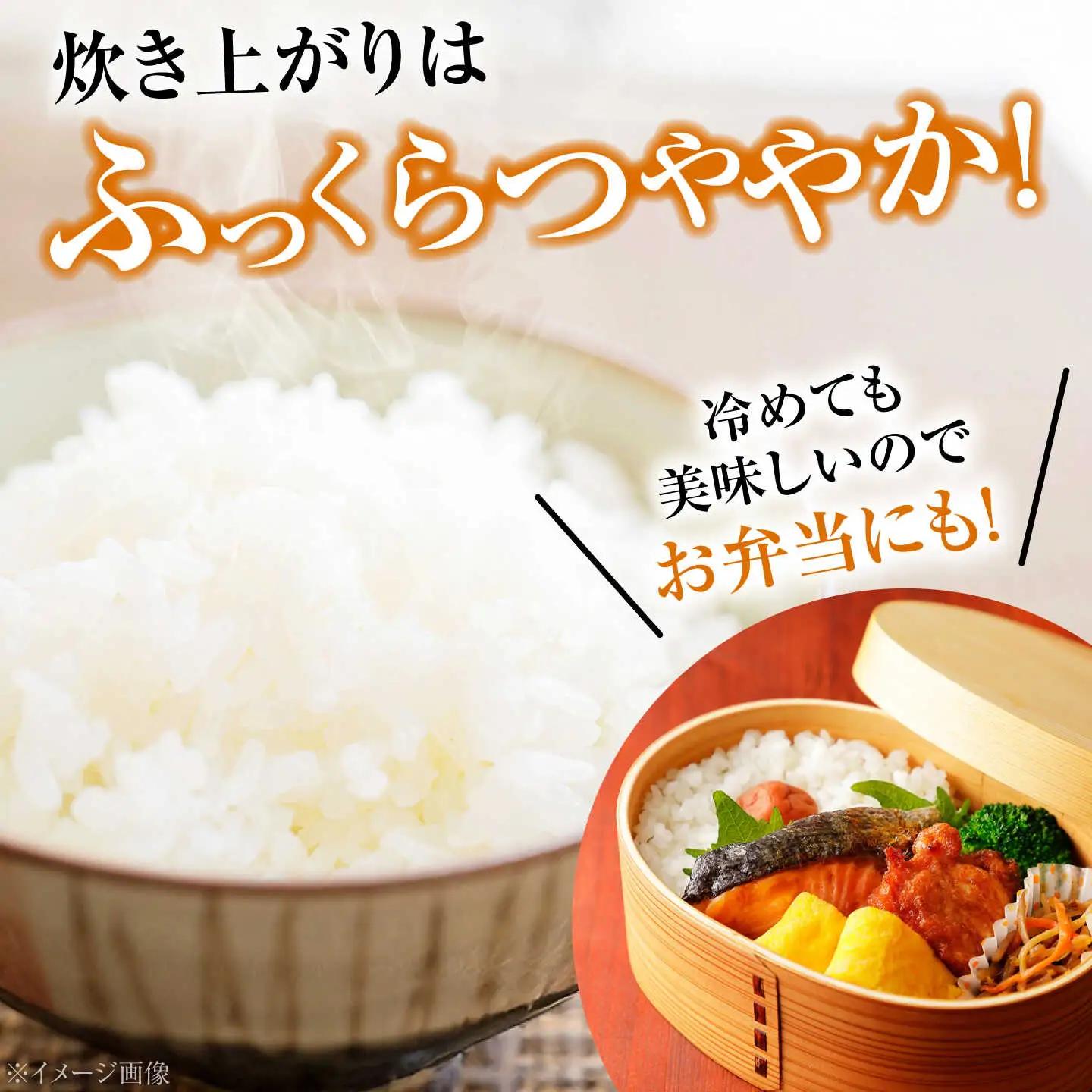 【新米】泉水のこしひかり 3kg×2袋 計6kg [APAJ007] 米