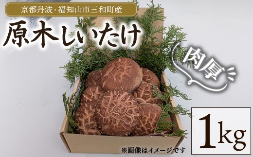 ＜2026年12月上旬以降順次発送予定＞京都丹波・福知山市三和町産 原木しいたけ (1kg) 【fc-FB005-B】【丹波かなまろんふぁーむ】