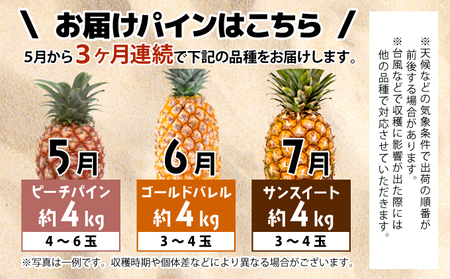 【2024年5月～7月（全3回発送）】南国の美味しさを！パイナップル 定期便 B